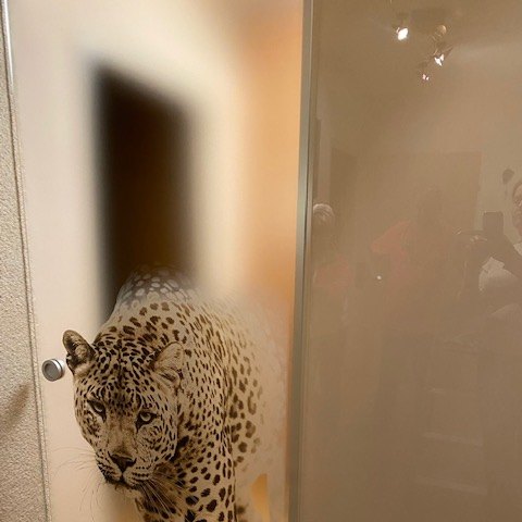 Glasschiebetüre mit Digitaldruck